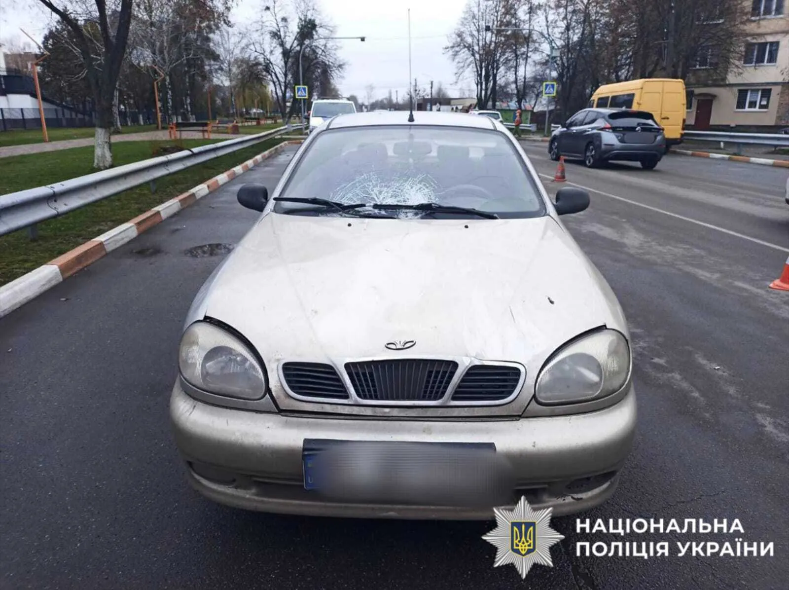 На Киевщине легковушка на переходе сбила насмерть женщину. Подробности ДТП и фото