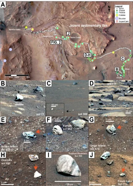 Марс міг бути тропічним оазисом: вчені здивували відкриттям