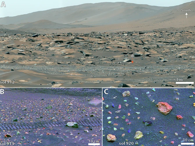 Марс міг бути тропічним оазисом: вчені здивували відкриттям