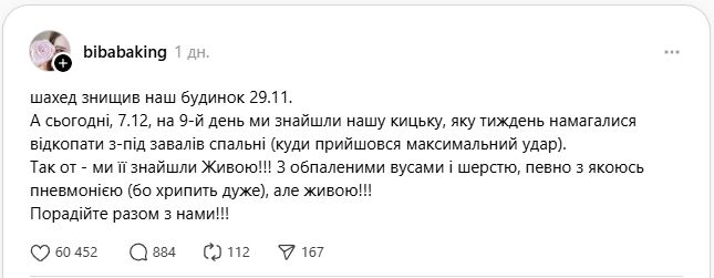 На Київщині жінка через 9 днів знайшла живою кішку, яка пережила удар "Шахеда". Фото та подробиці