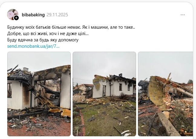 На Київщині жінка через 9 днів знайшла живою кішку, яка пережила удар "Шахеда". Фото та подробиці