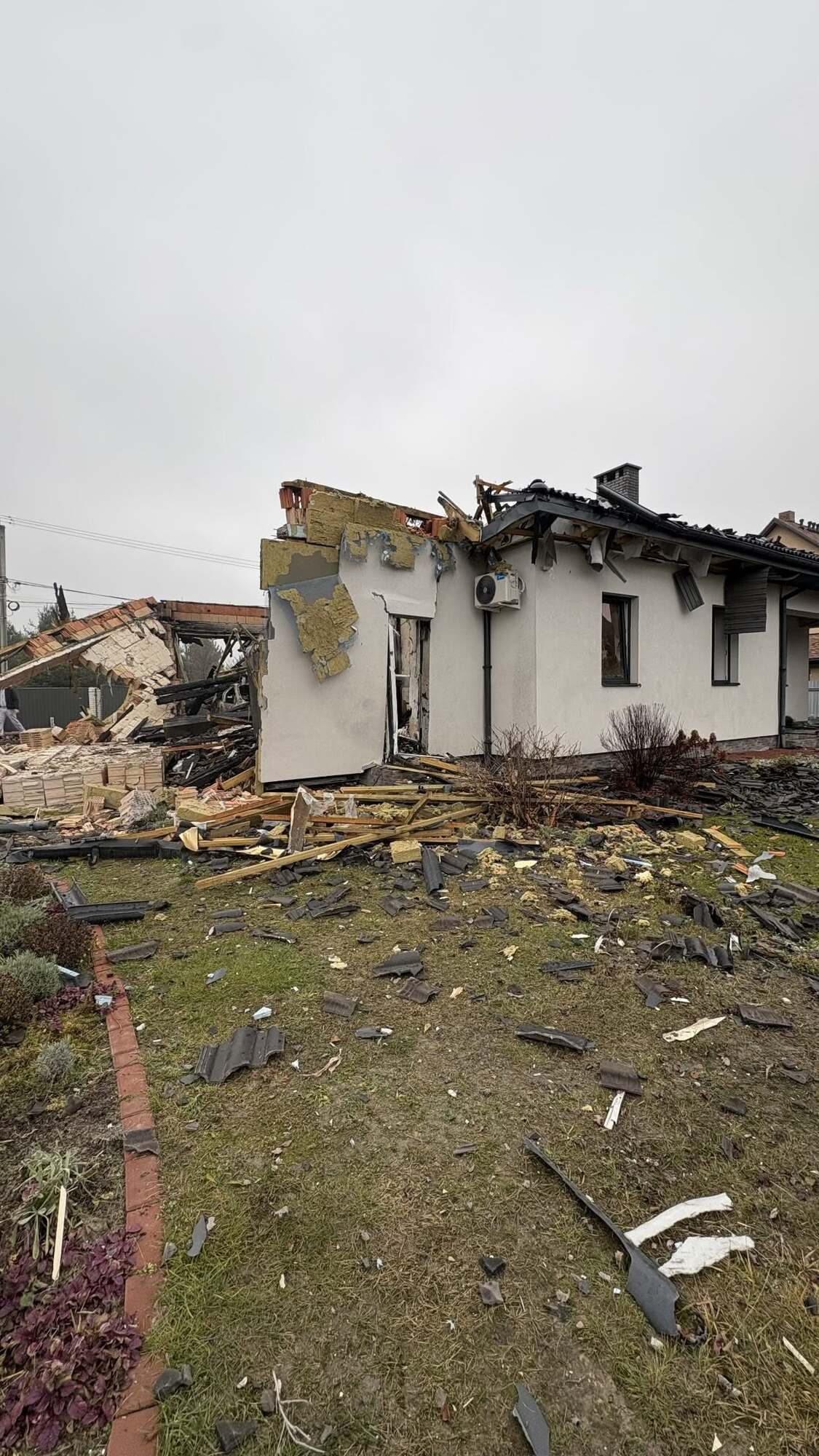 На Київщині жінка через 9 днів знайшла живою кішку, яка пережила удар "Шахеда". Фото та подробиці