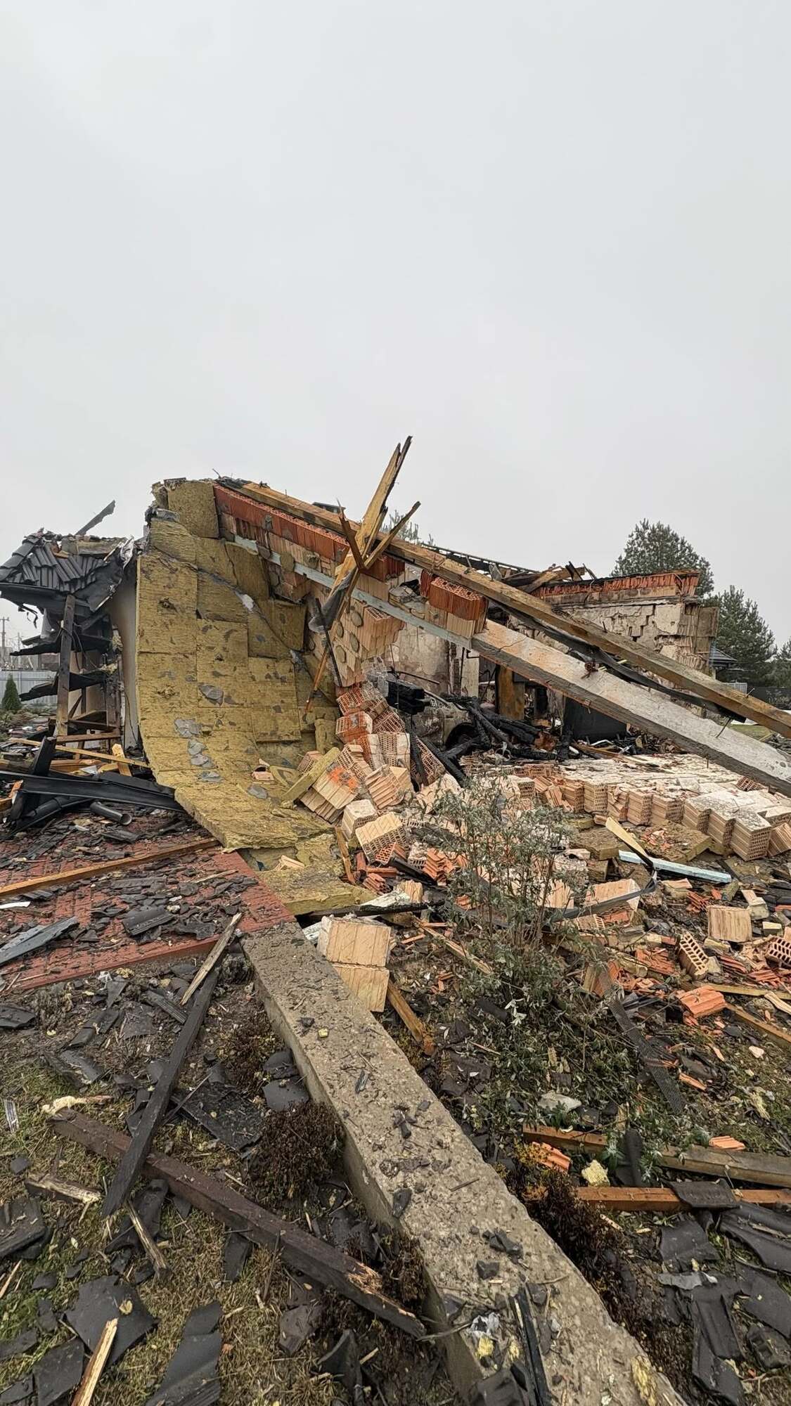 На Київщині жінка через 9 днів знайшла живою кішку, яка пережила удар "Шахеда". Фото та подробиці