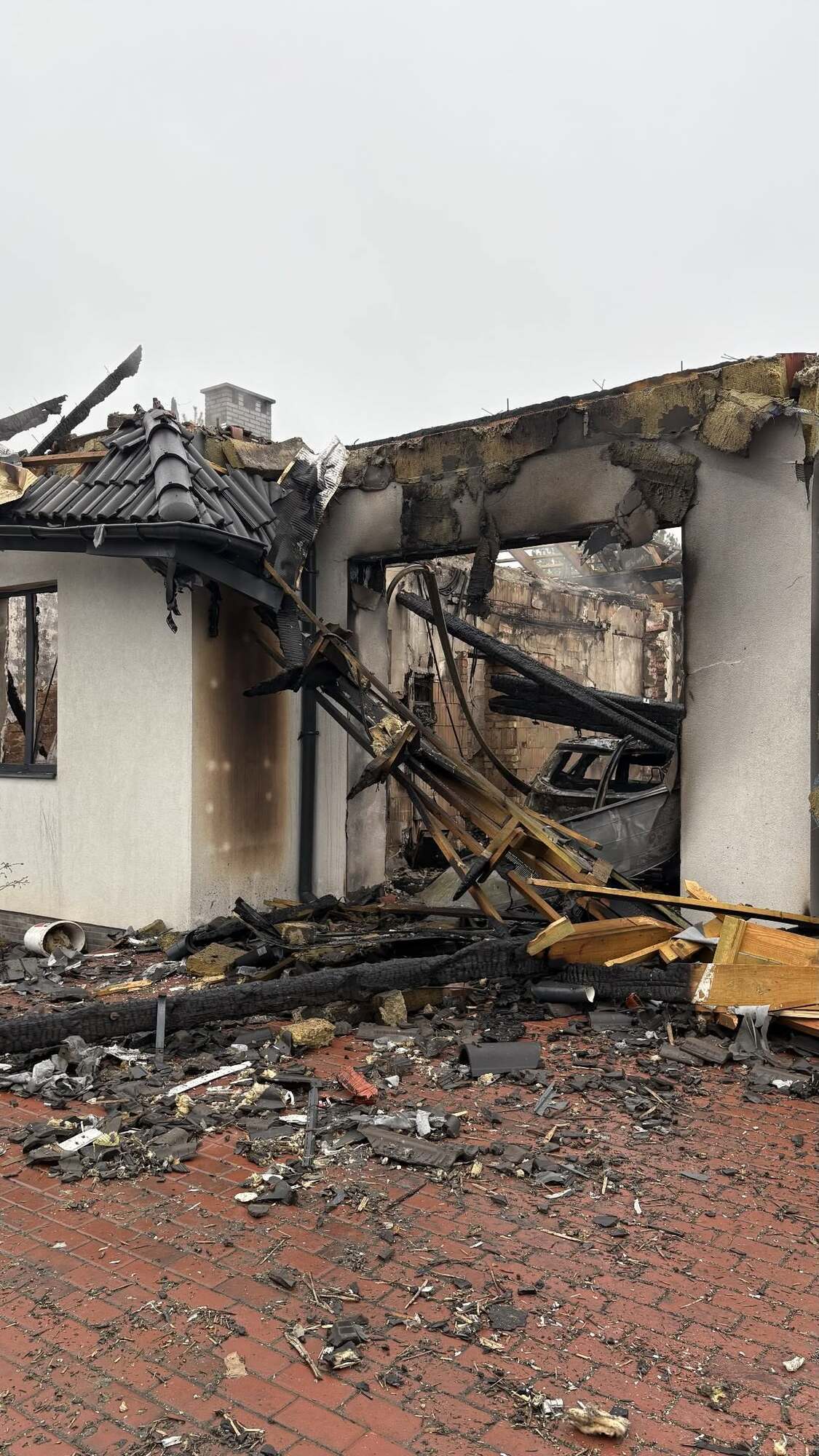 На Київщині жінка через 9 днів знайшла живою кішку, яка пережила удар "Шахеда". Фото та подробиці