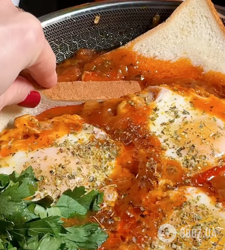 Смачна шакшука з овочами та соусом: рецепт корисної та смачної страви для сніданку