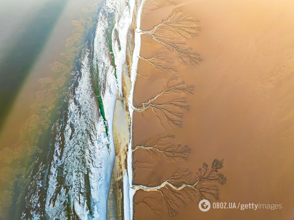 На замерзшей реке в Китае образовались гигантские "деревья": невероятное природное явление показали на фото