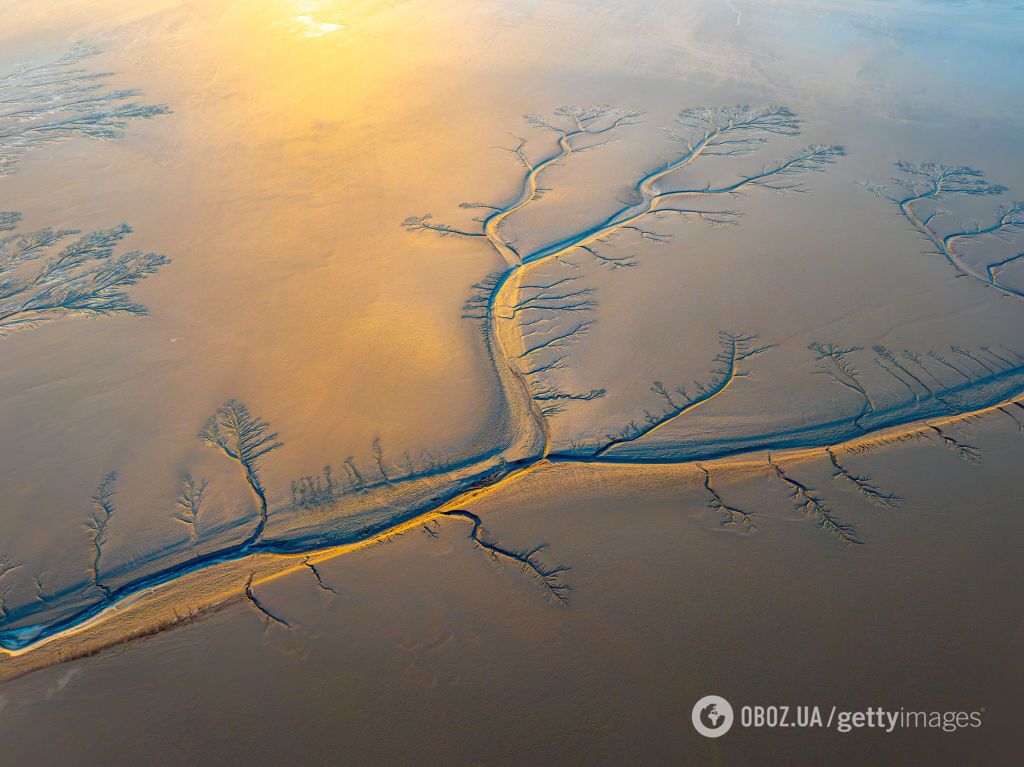 На замерзшей реке в Китае образовались гигантские "деревья": невероятное природное явление показали на фото