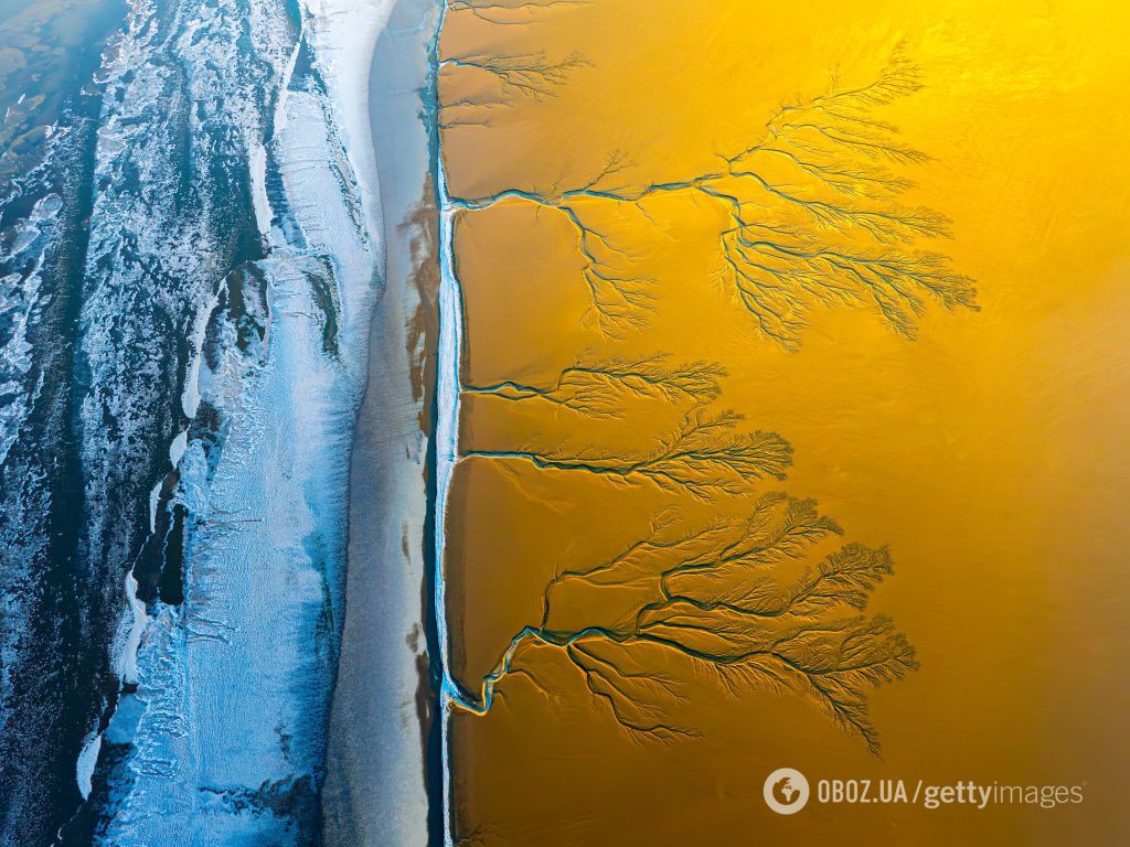 На замерзшей реке в Китае образовались гигантские "деревья": невероятное природное явление показали на фото