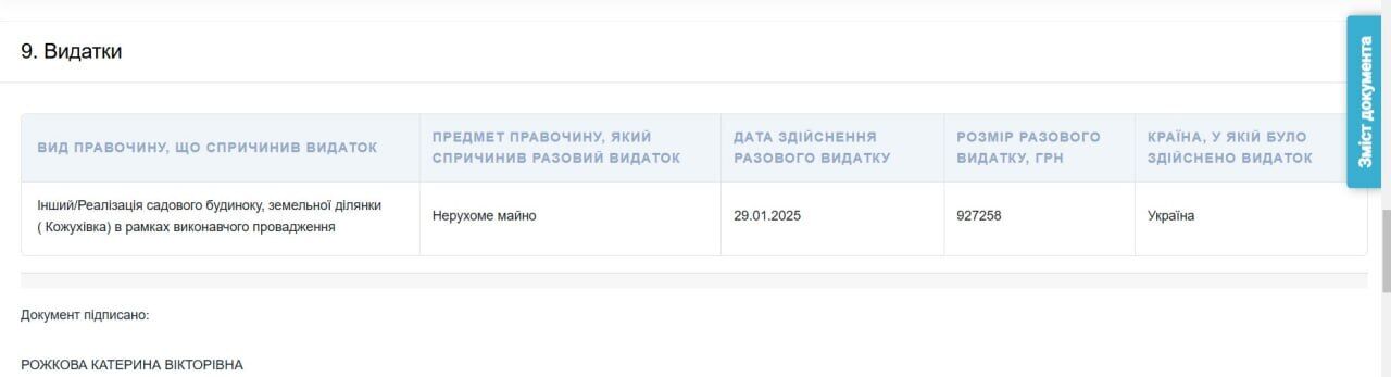 Скріншот із декларації Рожкової