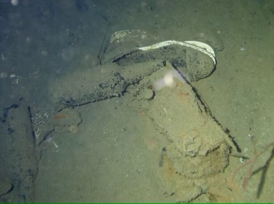 Біля берегів Бразилії виявлено корабель-привид часів Другої світової війни, затоплений нацистами
