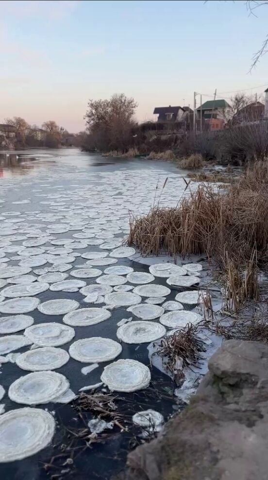 Крижані "млинці": на Київщині помітили незвичайне природне явище. Відео