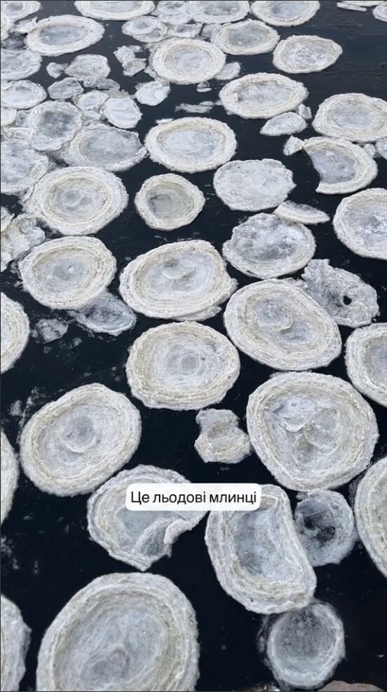 Крижані "млинці": на Київщині помітили незвичайне природне явище. Відео
