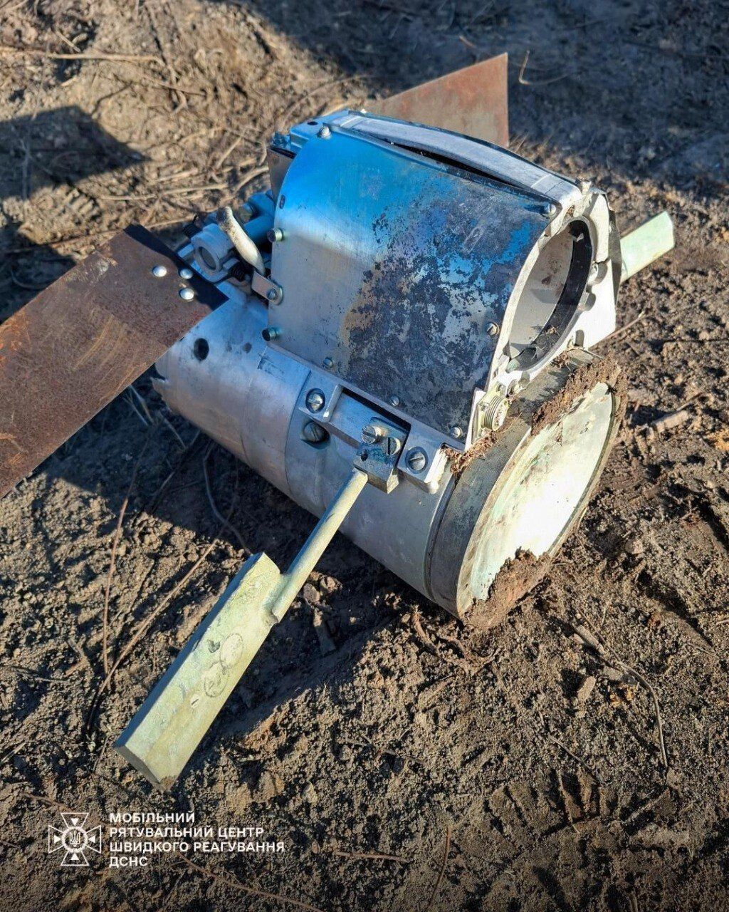 На Київщині у лісосмузі виявили бойовий елемент російської касетної бомби. Фото
