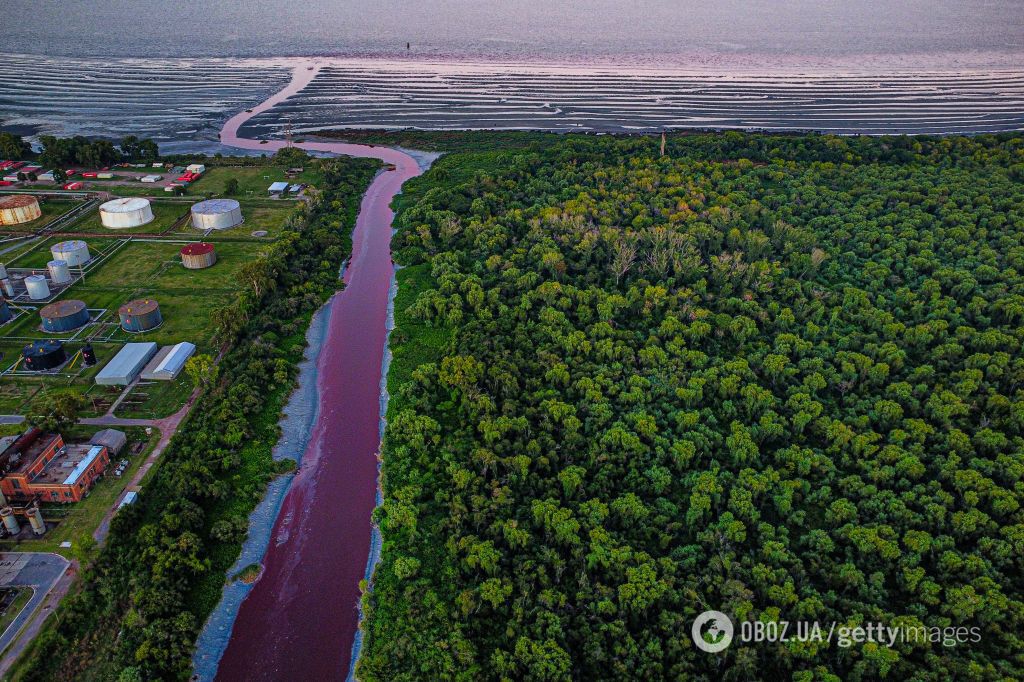 Река возле Буэнос-Айреса окрасилась в кроваво-красный цвет и испугала жителей. Фото, видео