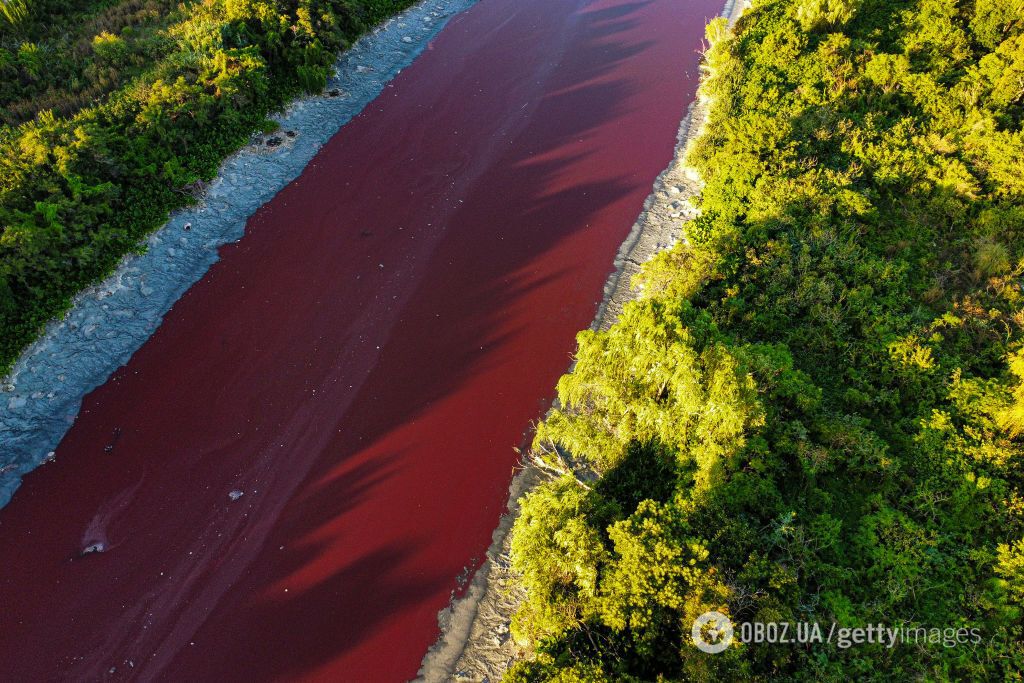 Река возле Буэнос-Айреса окрасилась в кроваво-красный цвет и испугала жителей. Фото, видео