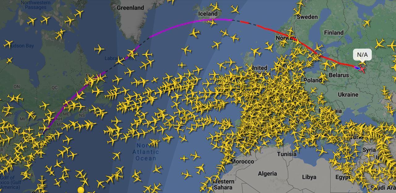 В сети сообщили, что самолет близкого соратника Трампа Стива Уиткоффа мог приземлиться в Москве: Кремль прокомментировал слухи