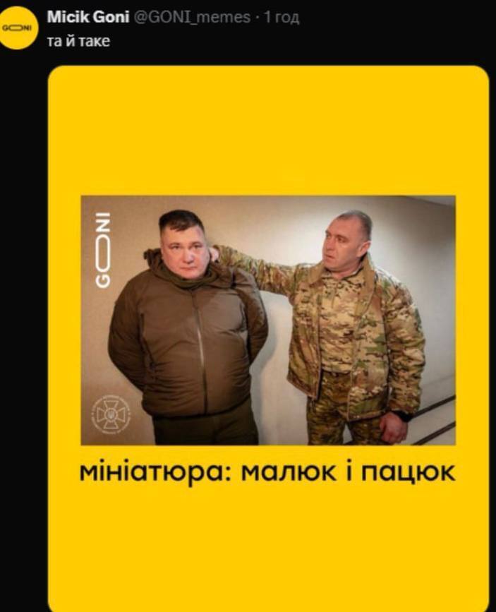 Малыш поймал "крысу" ФСБ: сеть взорвалась мемами. Фото