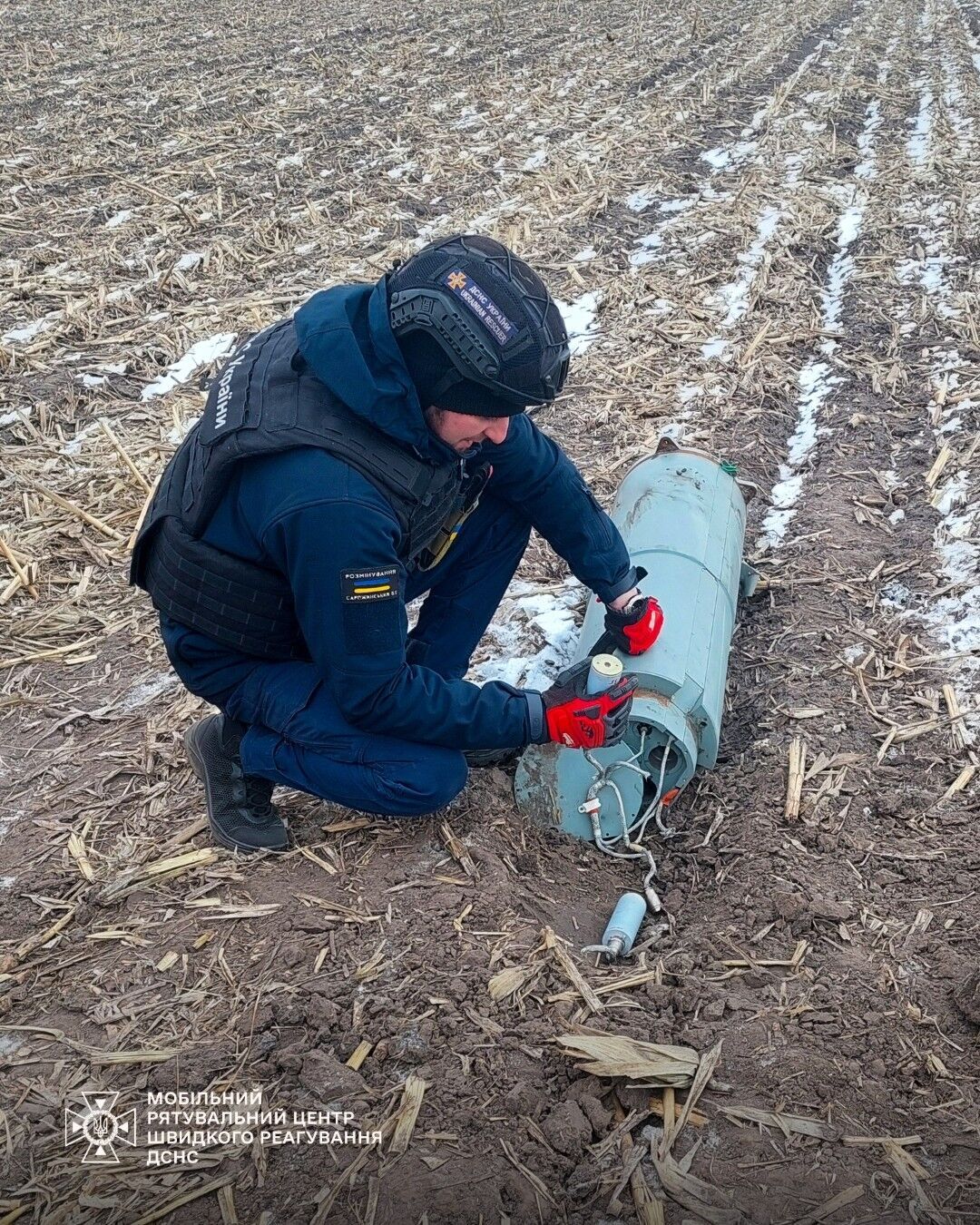 В Киевской области в поле нашли российскую крылатую ракету. Подробности и фото