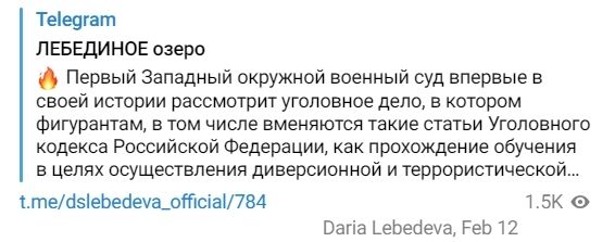 У Росії двох українців засудили до 23 років в'язниці у справі про мінування опор ЛЕП біля АЕС. Фото
