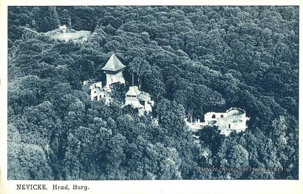 Каким был Невицкий замок под Ужгородом 100 лет назад и почему его связывают с Жюлем Верном: старые фото