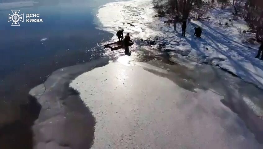 Бросился за лебедем: в Киеве бойцы ГСЧС спасли собаку из ледяной воды Днепра. Видео