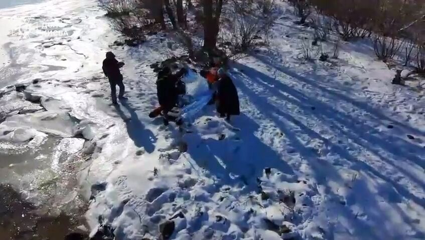 Бросился за лебедем: в Киеве бойцы ГСЧС спасли собаку из ледяной воды Днепра. Видео