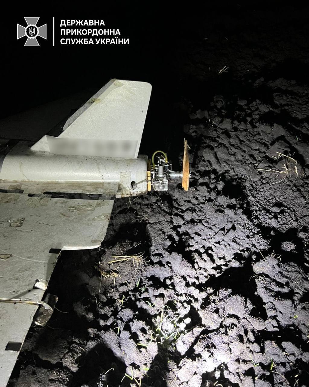 На Сумщині прикордонники збили ворожу "Герберу": фото