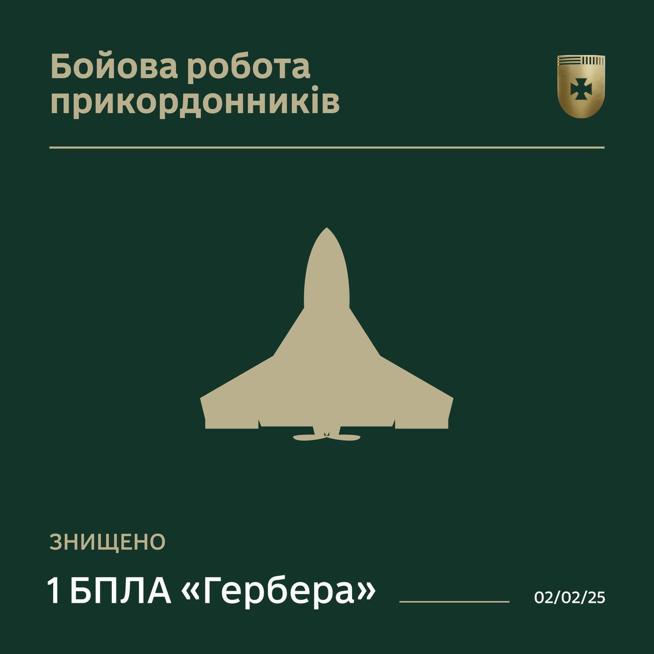 На Сумщині прикордонники збили ворожу "Герберу": фото