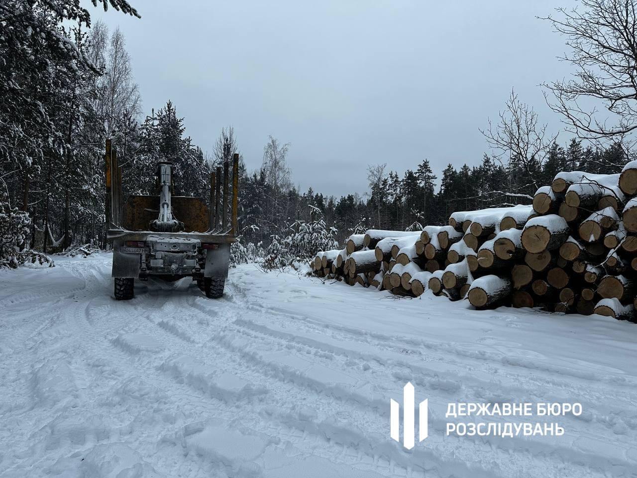 В Чернобыльском заповеднике вырубили 100-летние дубы: злоумышленников поймали