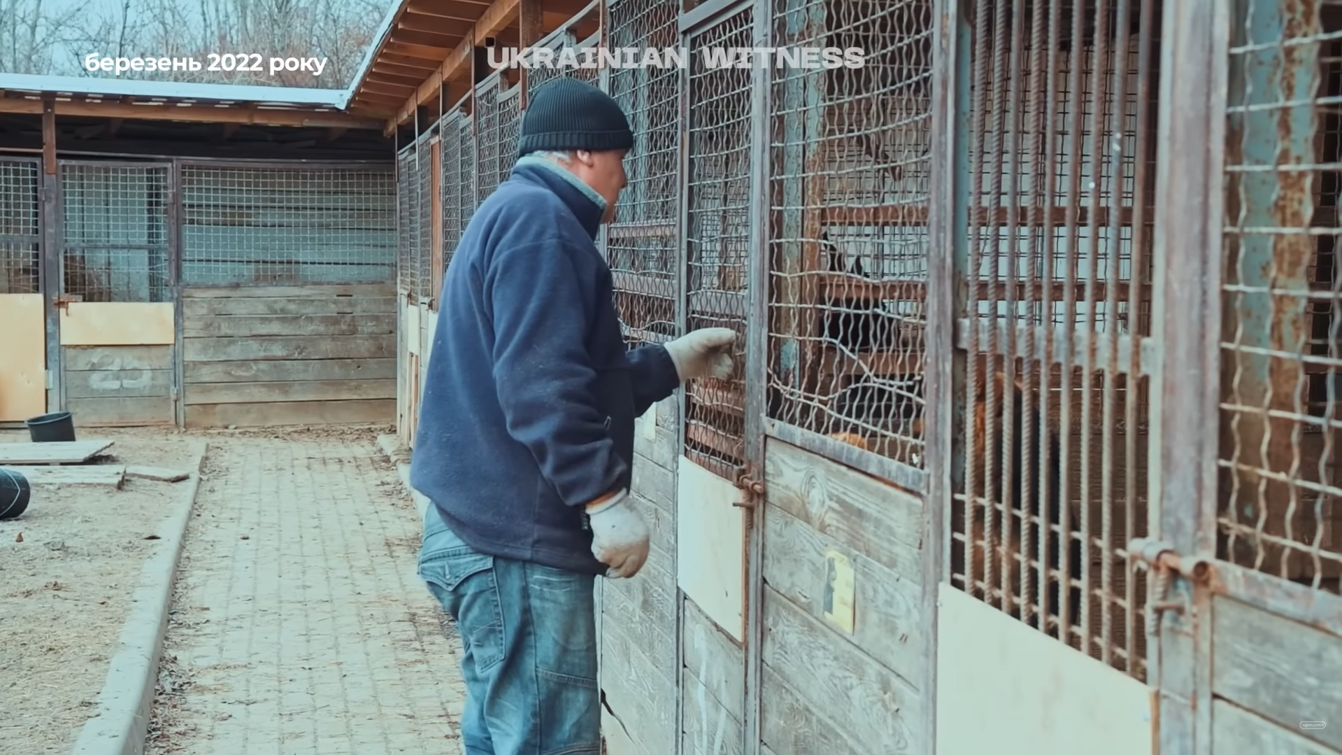"Їх ми не можемо кинути": як у Києві та передмісті рятували тварин у перші дні повномасштабної війни. Фото та відео
