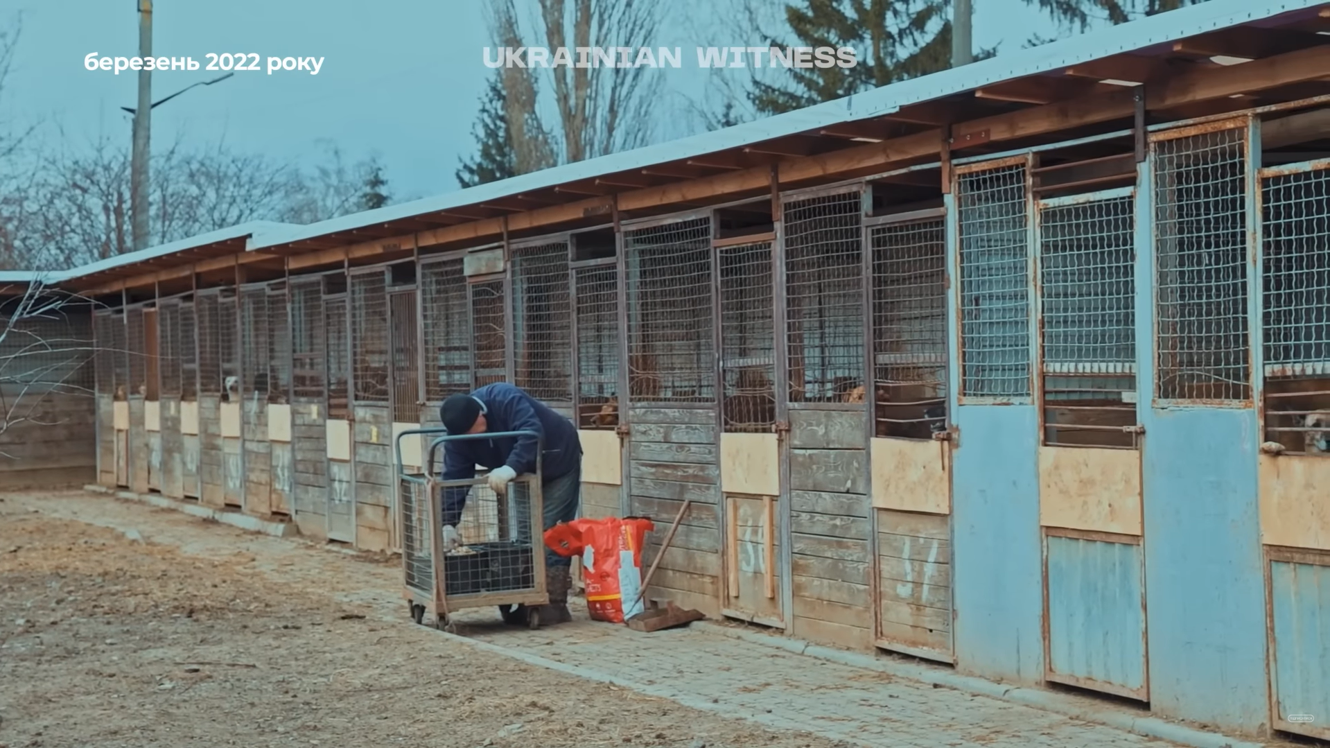 "Їх ми не можемо кинути": як у Києві та передмісті рятували тварин у перші дні повномасштабної війни. Фото та відео
