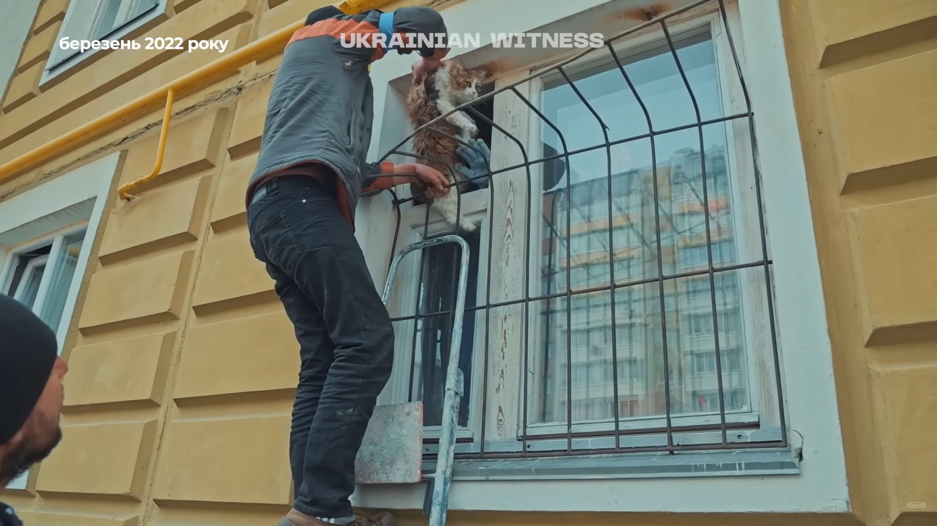 "Їх ми не можемо кинути": як у Києві та передмісті рятували тварин у перші дні повномасштабної війни. Фото та відео
