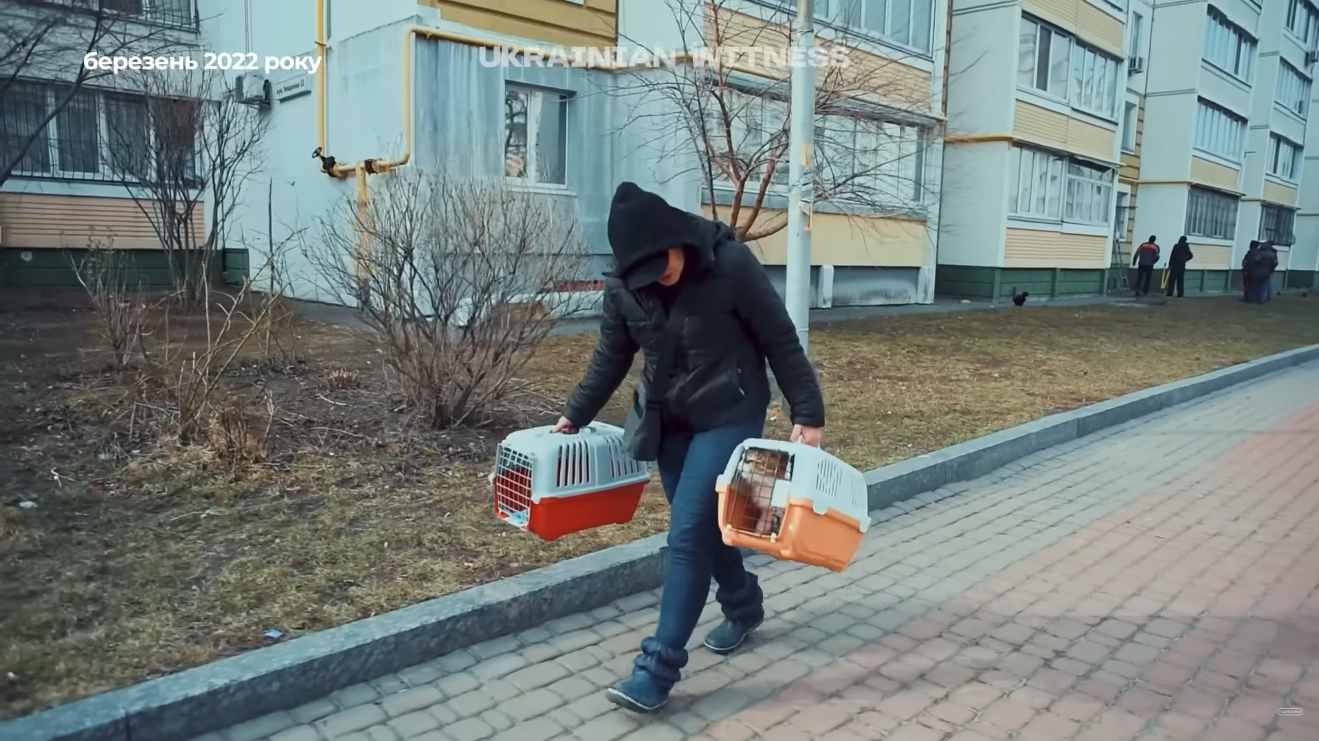 "Їх ми не можемо кинути": як у Києві та передмісті рятували тварин у перші дні повномасштабної війни. Фото та відео

