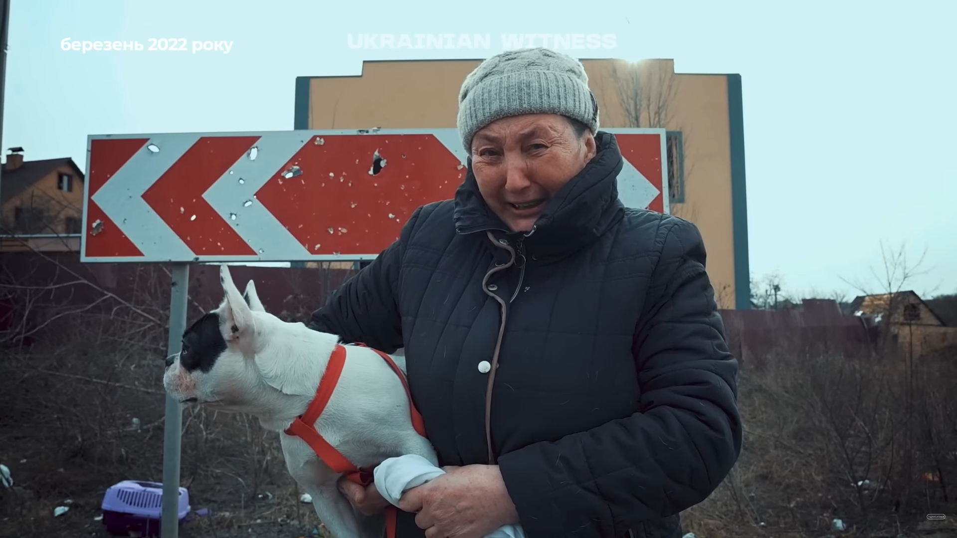 "Їх ми не можемо кинути": як у Києві та передмісті рятували тварин у перші дні повномасштабної війни. Фото та відео
