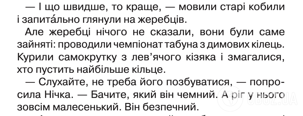 "Самокрутка, лев'ячий кізяк, кільце... Як це пояснити дитині?" Українців обурив уривок із підручника НУШ для 3 класу, але є нюанс