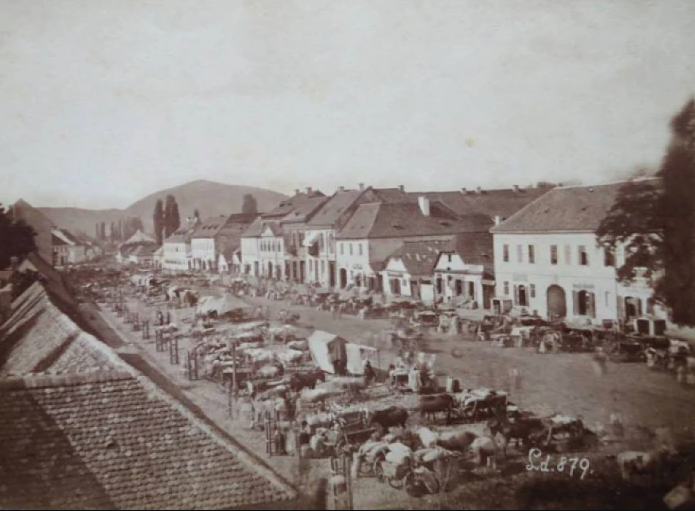Как в фильмах: как выглядело Мукачево более 100 лет назад. Архивные фото