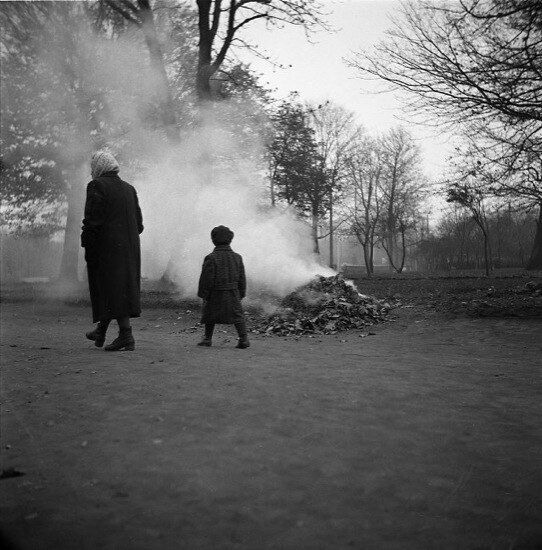 В сети показали, каким был Киев и его жители в 1957 году. Архивные снимки иностранного фотографа