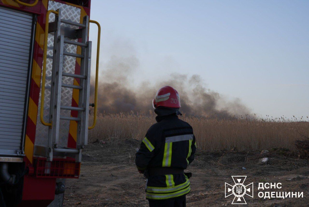 Горить понад 10 га відкритої території: на Одещині вирує масштабна степова пожежа. Фото й відео
