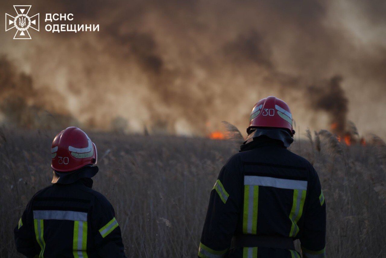 Горить понад 10 га відкритої території: на Одещині вирує масштабна степова пожежа. Фото й відео