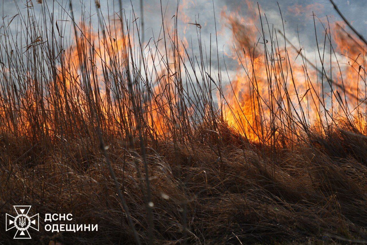 Горить понад 10 га відкритої території: на Одещині вирує масштабна степова пожежа. Фото й відео