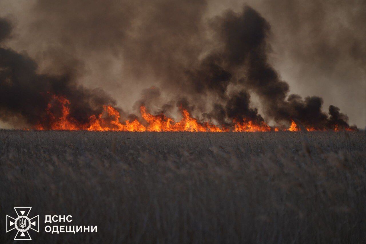 Горить понад 10 га відкритої території: на Одещині вирує масштабна степова пожежа. Фото й відео
