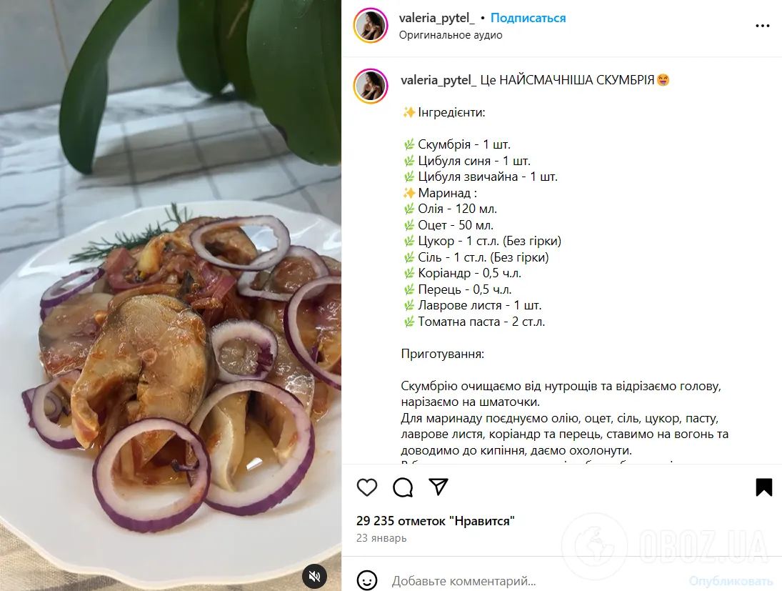 Пряная маринованная скумбрия к картофельному пюре: как вкусно приготовить рыбу в домашних условиях