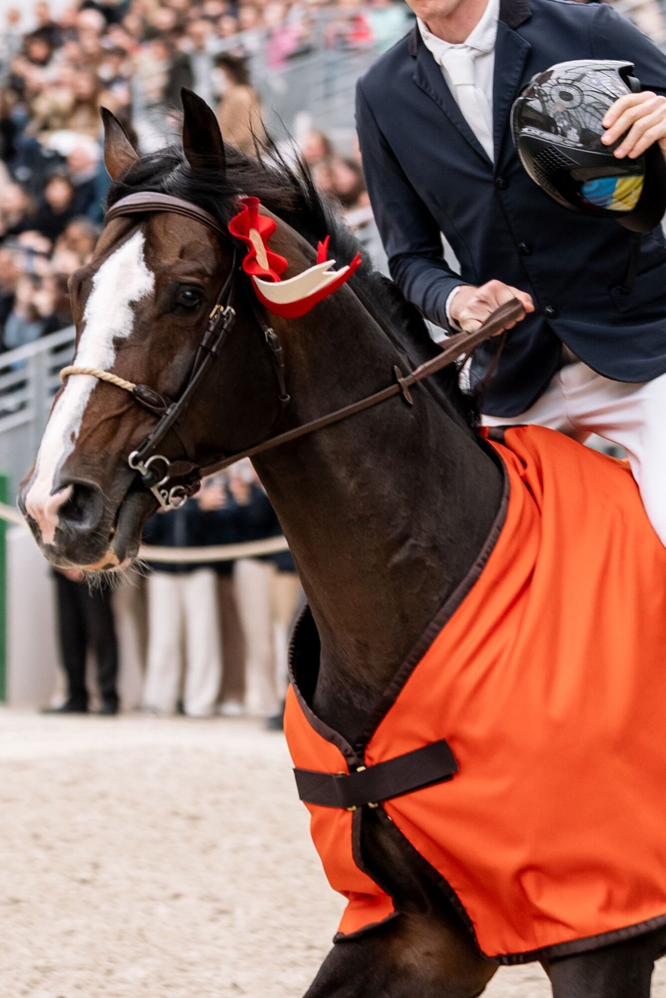 Saut Hermès у Парижі: українці здобули бронзу на престижному турнірі з кінного спорту
