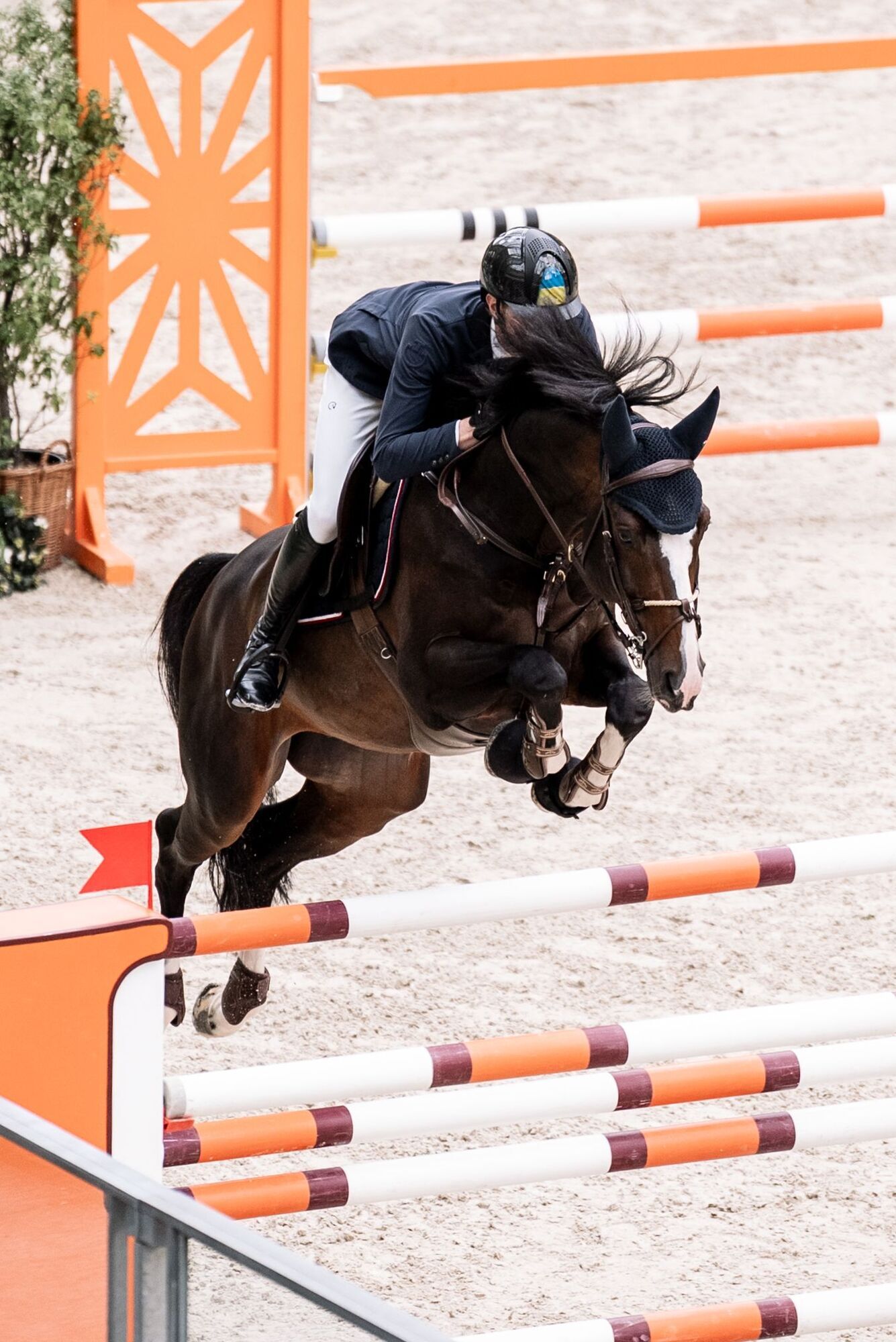 Saut Hermès у Парижі: українці здобули бронзу на престижному турнірі з кінного спорту