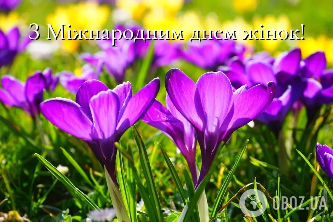 Картинки с Международным женским днем: открытки, поздравления и пожелания своими словами 