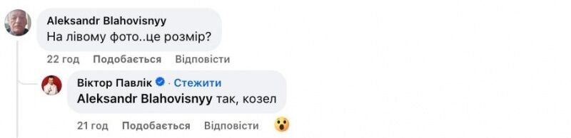 "Горіти вам в пеклі!" Віктор Павлік накинувся на хейтерів своєї дружини, яка зробила пластичну операцію