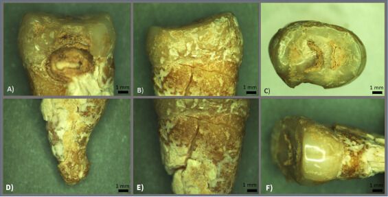 Византийский монах, похороненный в кандалах 1500 лет назад, оказался женщиной