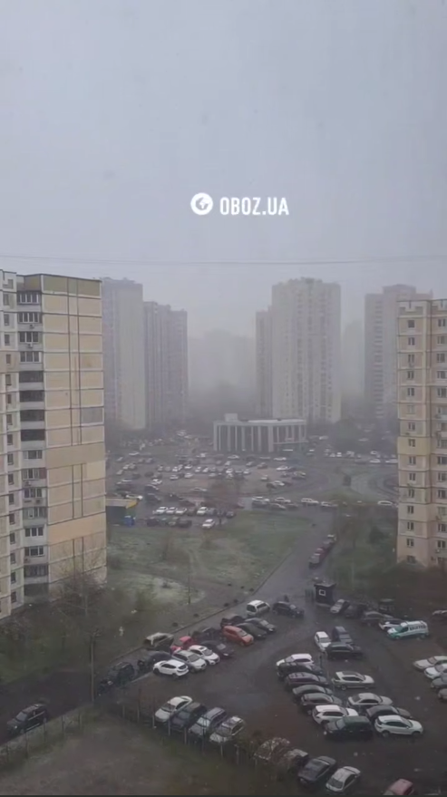 "Абрикоси цвітуть, а сніг мете": мережу вразили кадри квітневої "хуртовини" в Києві. Відео