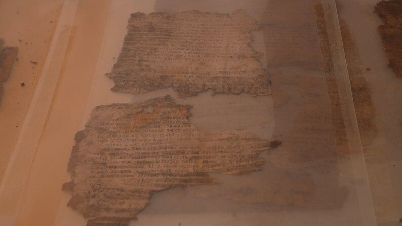 Пролежав 80 років під землею: в лісі на Прикарпатті знайшли бідон з документами ОУН. Фото
