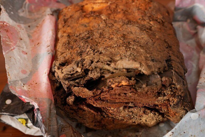 Пролежав 80 років під землею: в лісі на Прикарпатті знайшли бідон з документами ОУН. Фото
